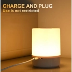 Lamp LED Night Light Battery Powered With Stand Starry Lamp Bedroom Decor Night Lights Kids Gift